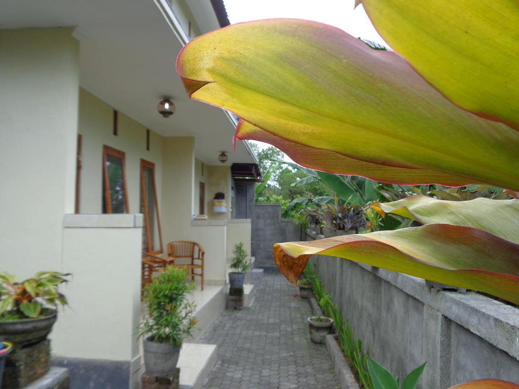 Sintya Homestay Ubud Kültér fotó